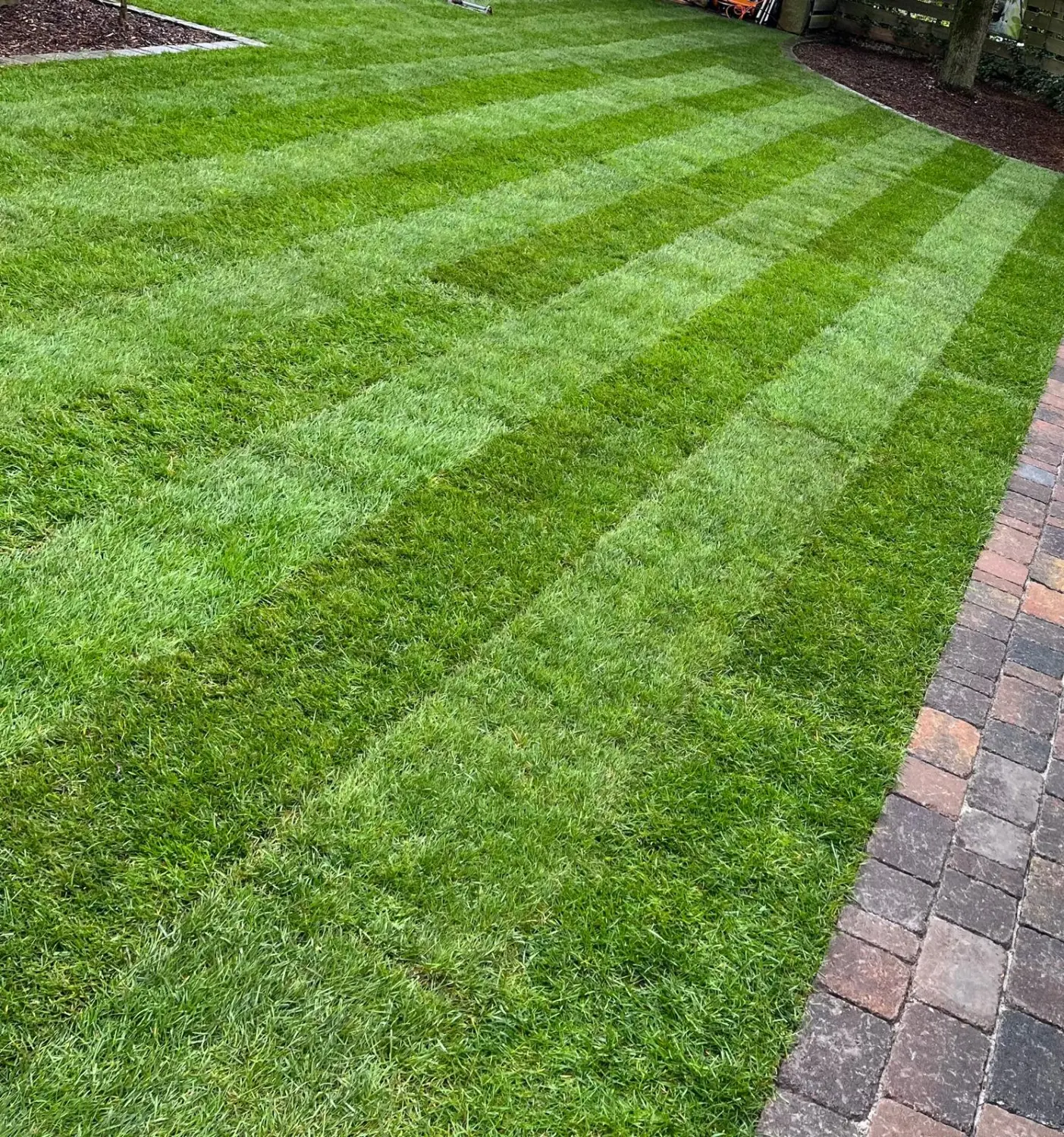 Rollrasen von Caucasian Gardener